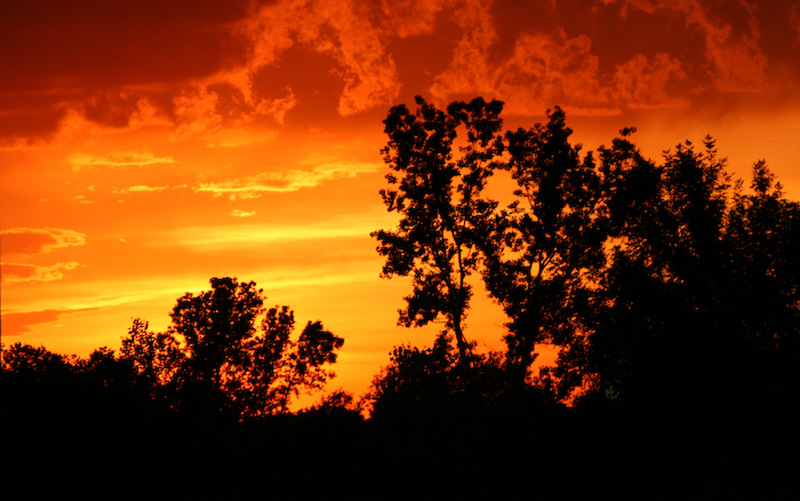 Sky Fire